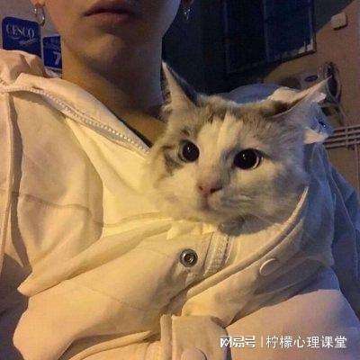 水木非凡境官方版下载