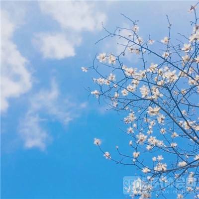 手游天上天下免绑微信版下载